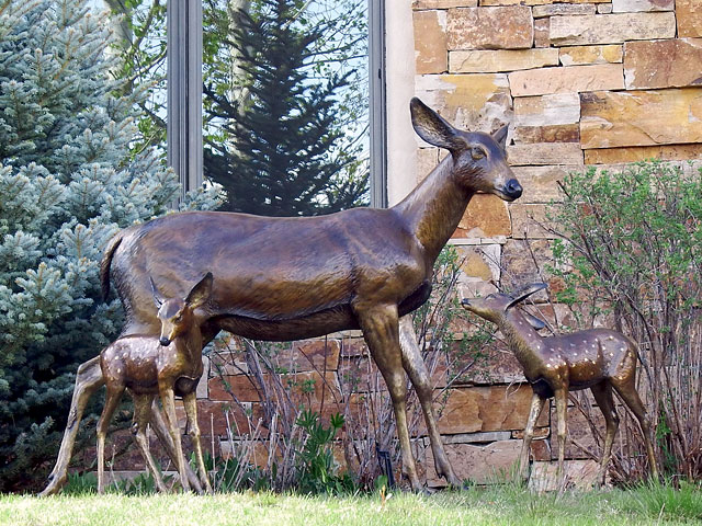 David R. Nelson - Colorado Artist and Sculptor - Bronze Wildlife Sculptures
